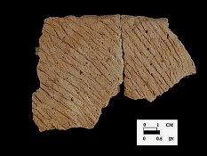 Coulbourn cord-marked mended rim sherds from Wessel, site 18CA21/578.